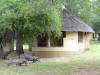 Kruger tours